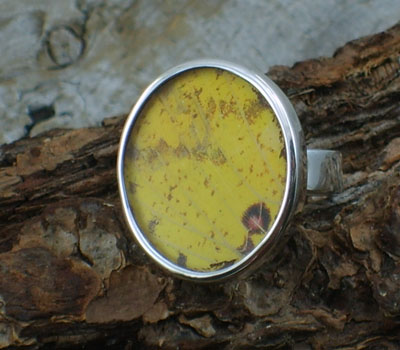 Ring Butterfly Wing  Peruvian Round -sz 7.5